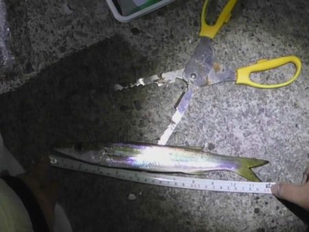 遅い時間から釣行